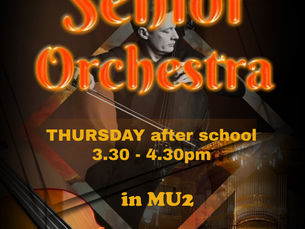 Senior Orchestra