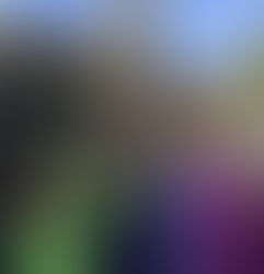 Year 2 visit to The Gateshead Heritage centre