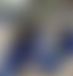 Planting Sweetpeas in Year 3!