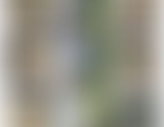 Environmental Art in Year 2