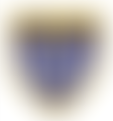 Year 4 Remote Learning – Friday 29th January 2021