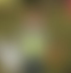 Nursery Visit Jesmond Dene