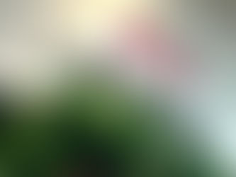 Friday 13th December 2024