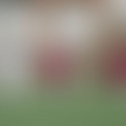 Puteolana-Sarnese: un match dal sapore di riscatto