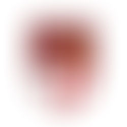 Caos Real Aversa: il Principe Emanuele Filiberto prende le distanze e chiarisce con un comunicato