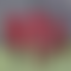 Costa D'Amalfi a vele spiegate: 4-0 al Santa Maria La Carità