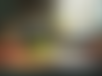 When Instagram Reality Hits: Embracing the Comedy of Everyday Life