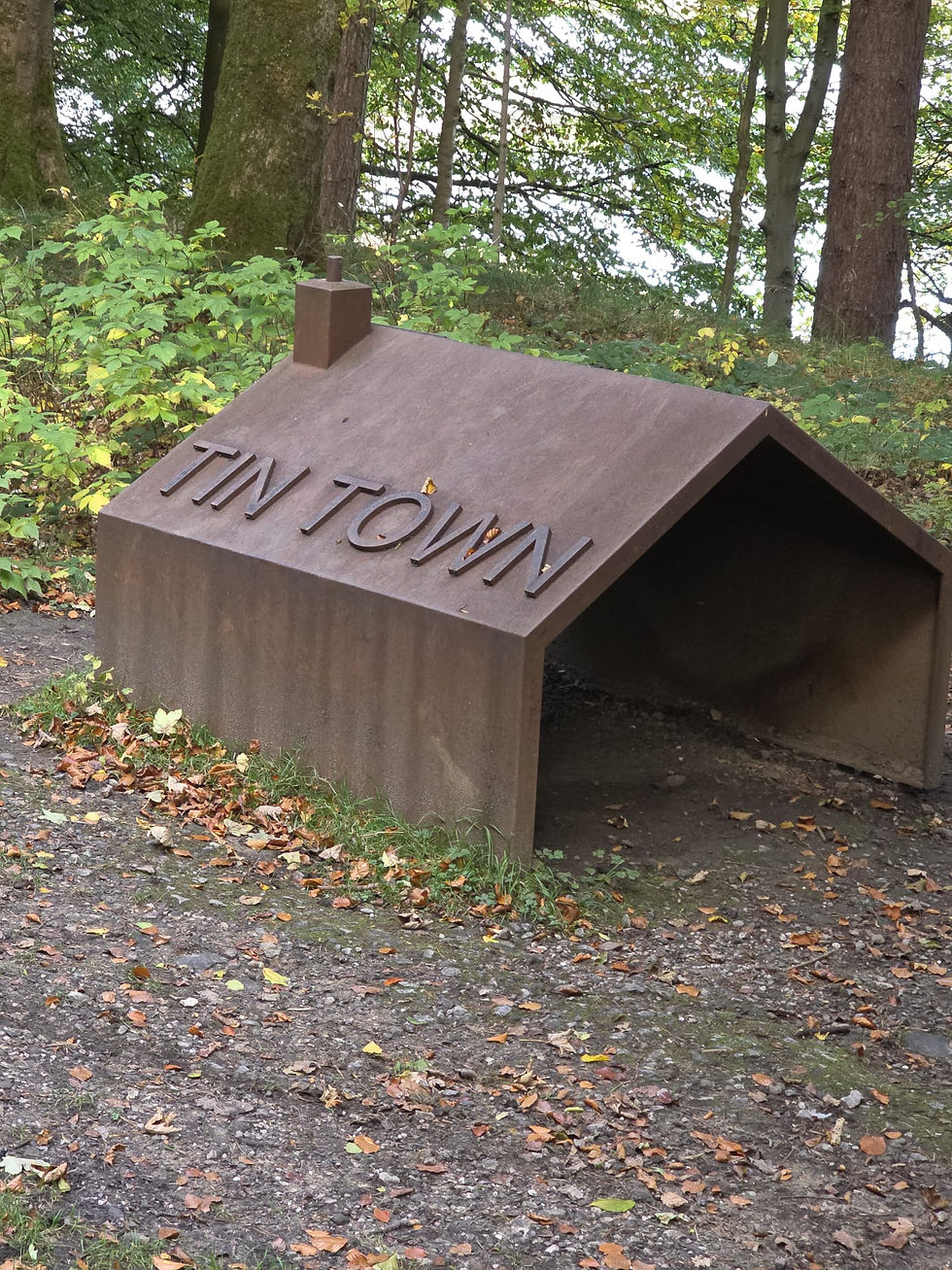 A whimsical outdoor shelter named "Tin Town," offering the ultimate mortgage-free living experience amidst nature.