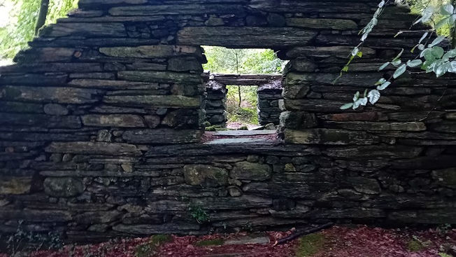 An ancient stone structure stands in a dense forest, a testament to a bygone era where nature and human ingenuity intertwined in the fight to survive.