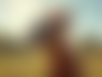 The Funny Side of Horse Ownership You Never Knew About