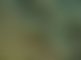 9/20(土)スノーケリング