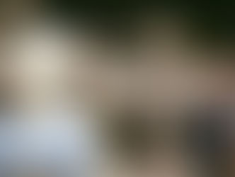 5 Razões que levam os consumidores a trocar os produtos