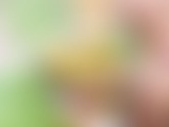 Maioria dos brasileiros usa aplicativos para fazer compras