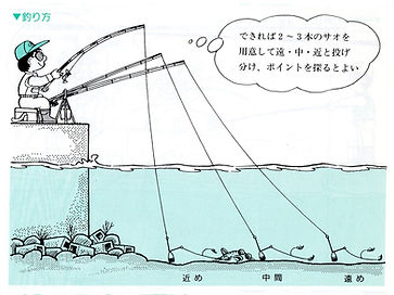 釣り講座(防波堤のカレイ釣り).jpg