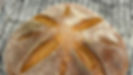 EBCB6802-2E6F-4076-8B1A-2F9C183DC1B0_edited.jpg