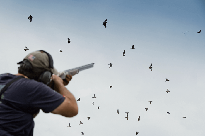 Argentina Duck Hunting an Interesting Adventure to Remember