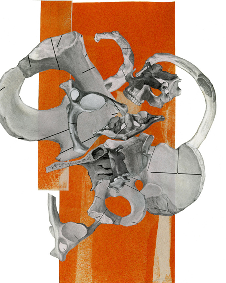 Marrow — charcoal and oil, 2022