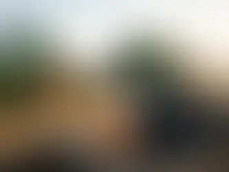 Aditivo para máquinas agrícolas vale a pena?