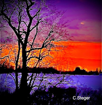 Sunset Silhouette.jpeg