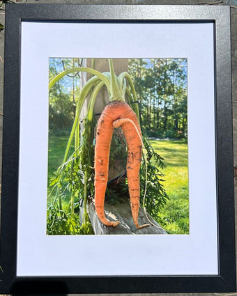 Photo of a 2 legged carrot standing up