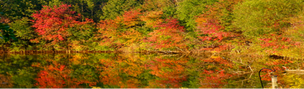 TRINITYWOMEN: News You Can Use
October 2015