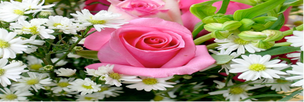 TRINITYWOMEN NEWS YOU CAN USE: May 2016
