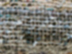 Landscape 2