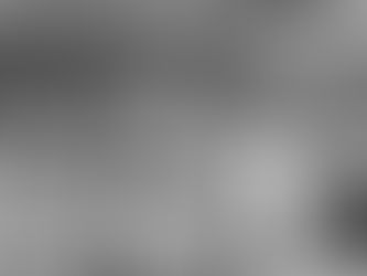 Lake City Honeycrisp Apple Talk