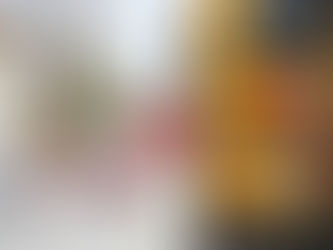 School Bus Stop Sign Violations