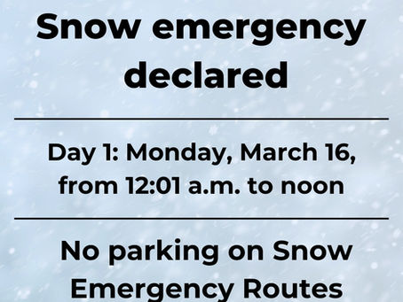 Red Wing Snow Emergency