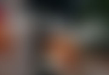 Trunk or Treat Bay Point Park