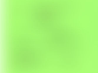 Plainview Spring Cleanup