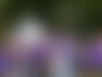 Walk to End Alzheimer’s® River Cities