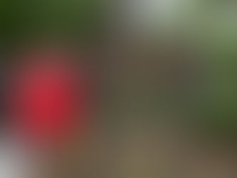 Glasgow Township DNR Land