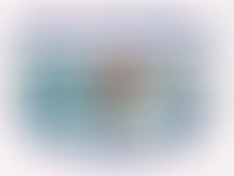 Wabasha Skate Park Grand Opening