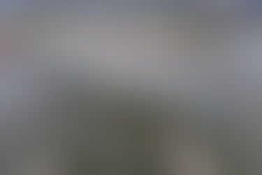 Viking Ship in Red Wing