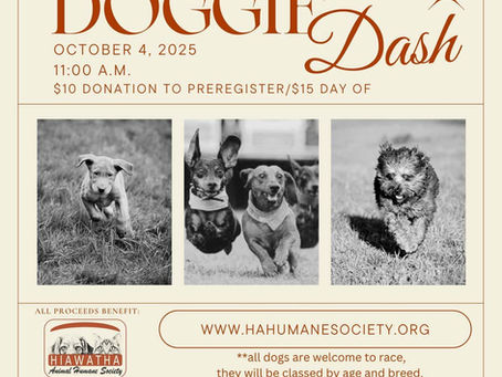 Wabasha SeptOberfest 2025