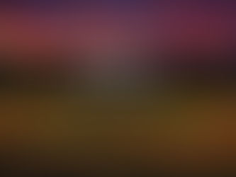 Red Wing Aces Fundraiser