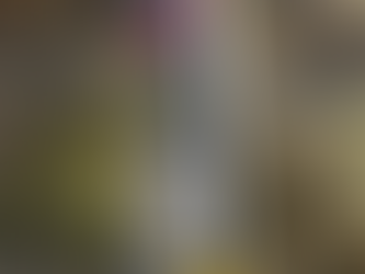 Eisenhower Bridge of Valor New Sign