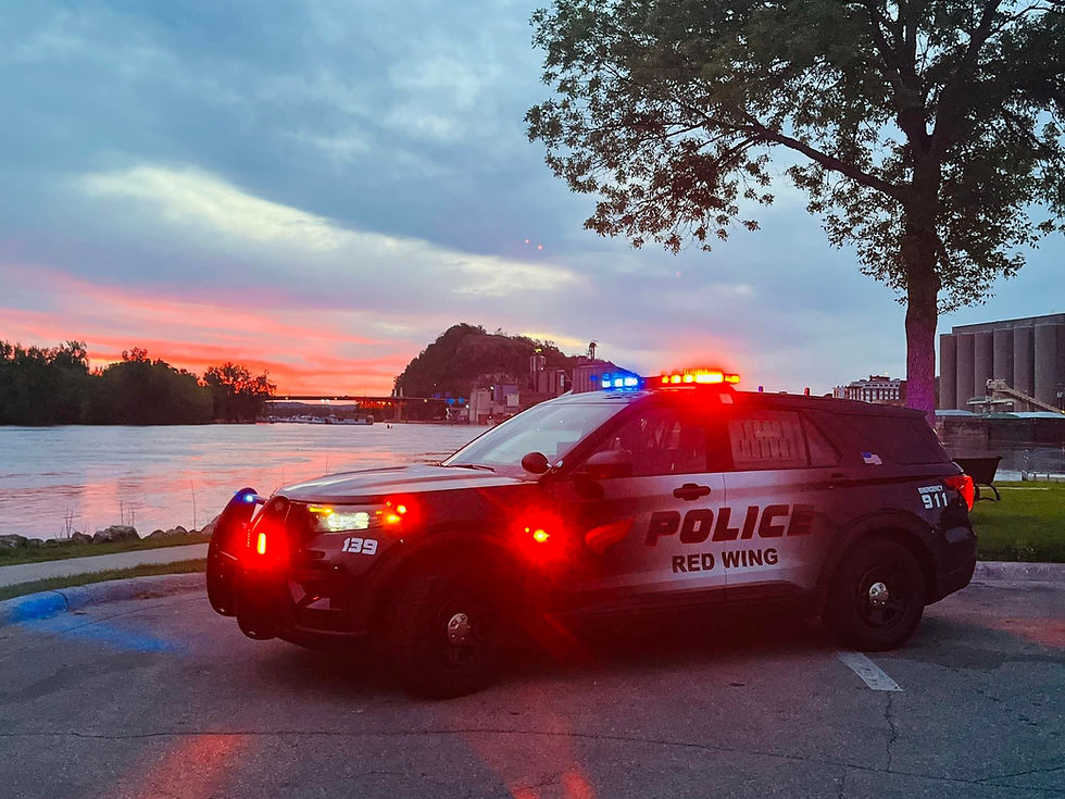 Red Wing Meth Bust