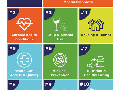 Goodhue Co. Health Assessment 