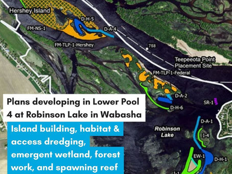 Robinson Lake Habitat Restoration