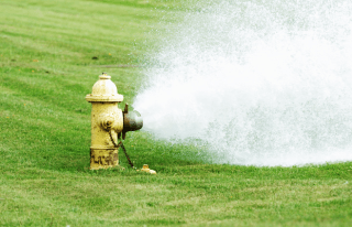 Red Wing Flushing Hydrants