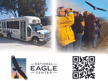 National Eagle Center Field Trips