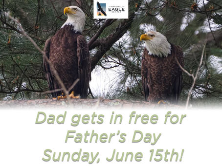 National Eagle Center Father’s Day Admission