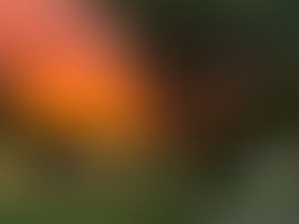 Red Wing Library Spring Book Sale