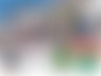 National Eagle Center Cruises