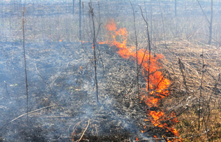 Barn Bluff Controlled Burn   