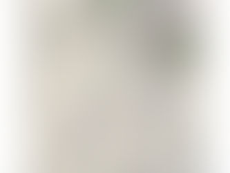 Wabasha 2025 Street Improvements