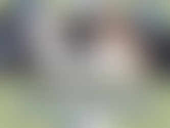 Annual SOAR With the Eagles Festival